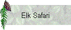 Elk Safari