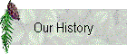 Our History